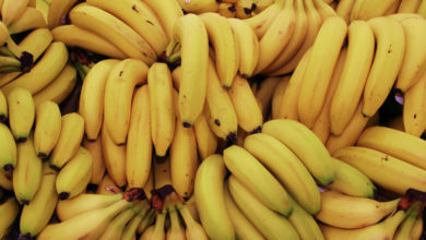 Photo of Бананы: полезная трава или жуткая отрава? Отвечает врач-диетолог