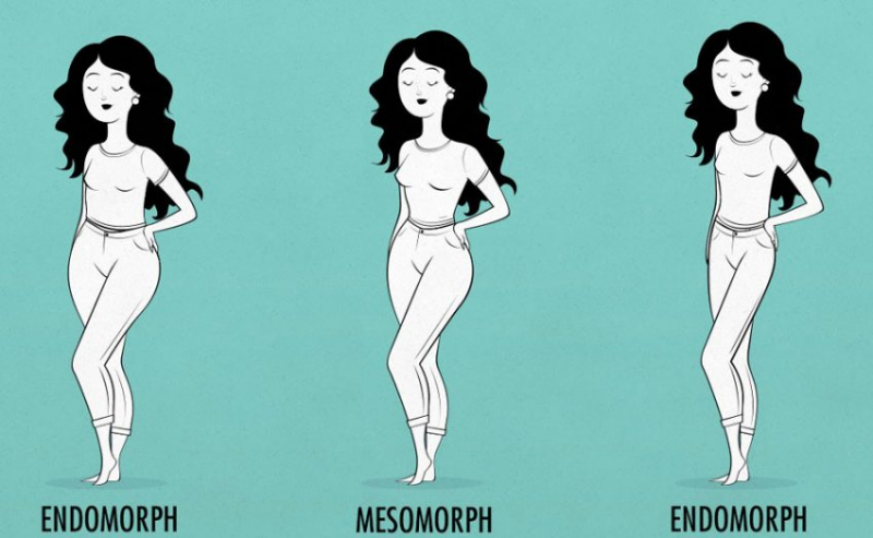 Идеальные пропорции женского тела